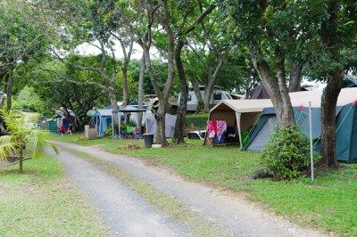 Camping and Caravaning amongst the trees